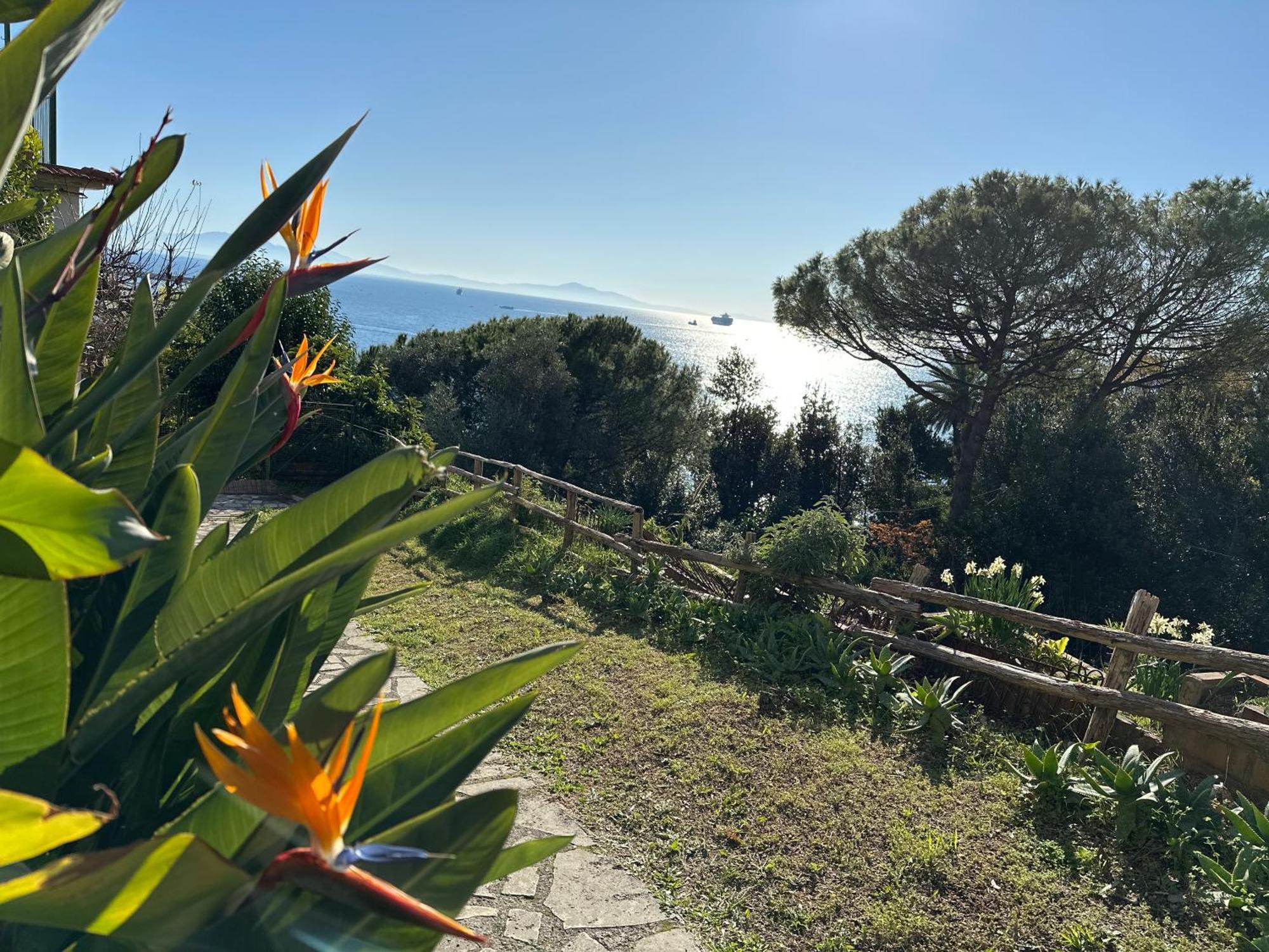 La Casa Di Elena Villa Vietri Bagian luar foto